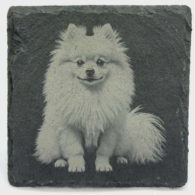 Pomeranian Dog Slate Coaster – Realistic Pet Art