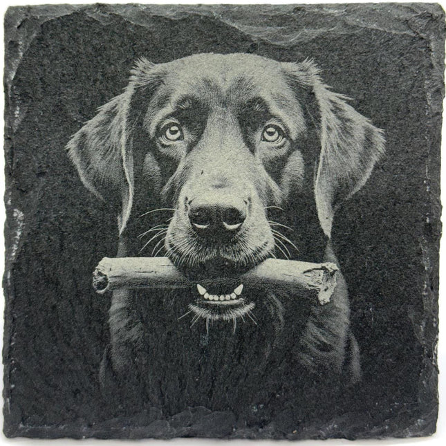 Labrador Retriever Slate Coaster – Engraved Dog Portrait