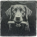 Labrador Retriever Slate Coaster – Engraved Dog Portrait