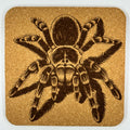 Bold Tarantula Cork Coaster – Laser Engraved Spider Art