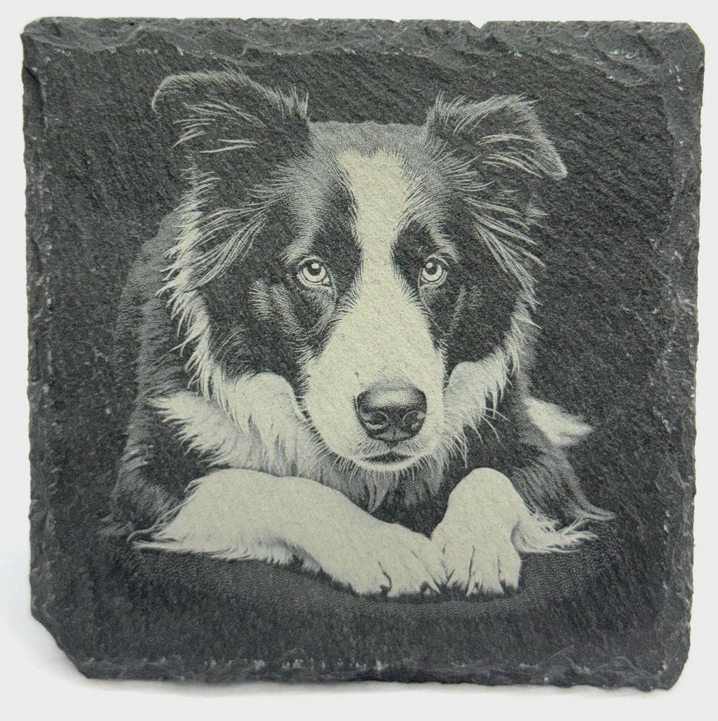 Border Collie Portrait Slate Coaster – Intelligent Herding Dog Art