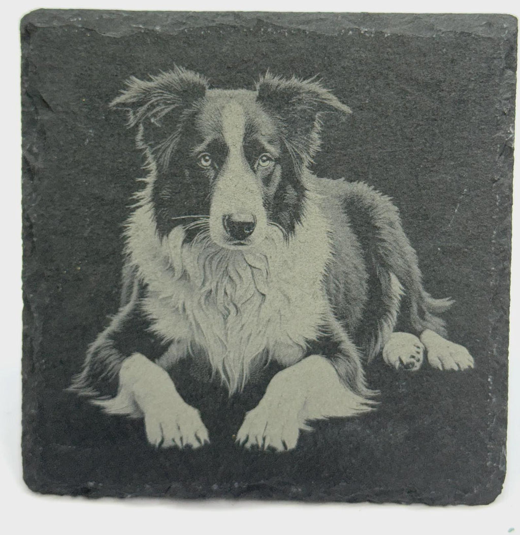 Border Collie Art Slate Coaster – Realistic Canine Portrait