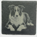 Border Collie Art Slate Coaster – Realistic Canine Portrait