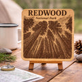 Redwood National Park Forest View Laser Engraved Cork Coasters