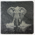Majestic Elephant Walking Through Water – Engraved Slate Coaster