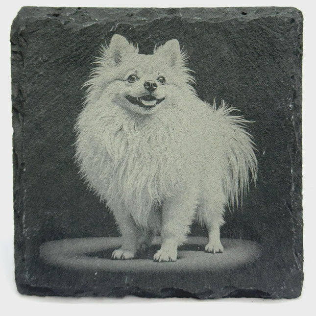 Pomeranian Lover Gift – Laser Engraved Slate Coaster