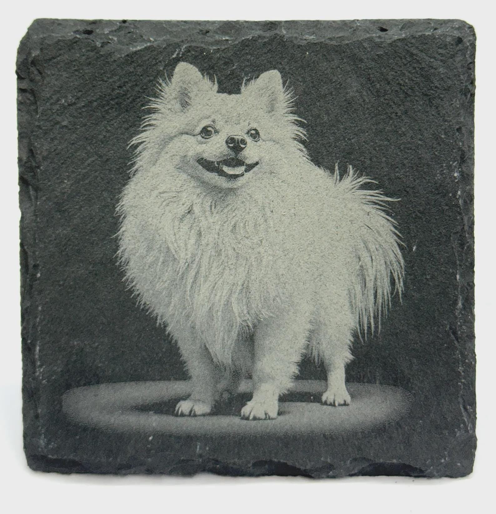 Pomeranian Lover Gift – Laser Engraved Slate Coaster
