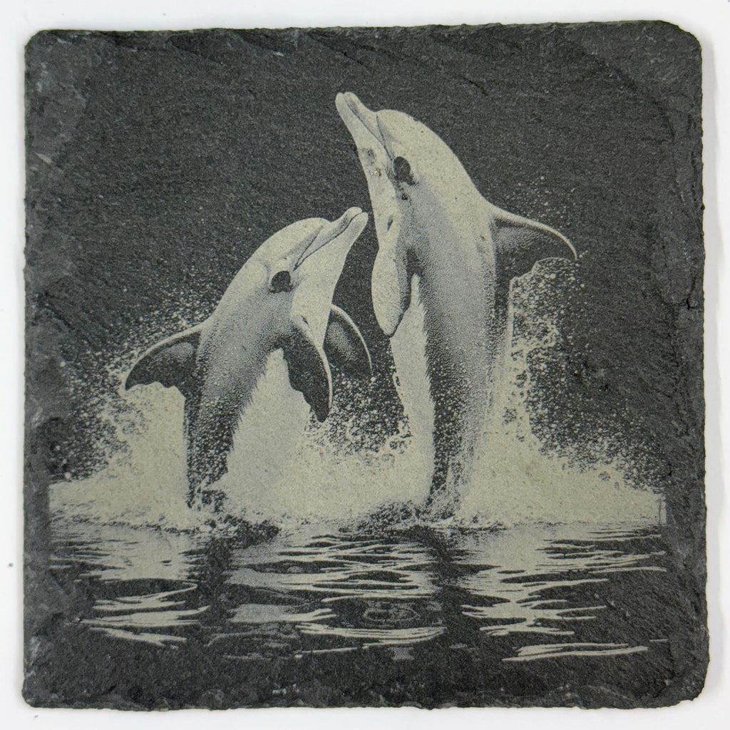 Joyful Dolphins Splashing Together – Engraved Slate Coaster