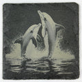 Joyful Dolphins Splashing Together – Engraved Slate Coaster