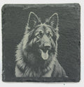 German Shepherd Portrait Slate Coaster – Loyal Working Dog Art