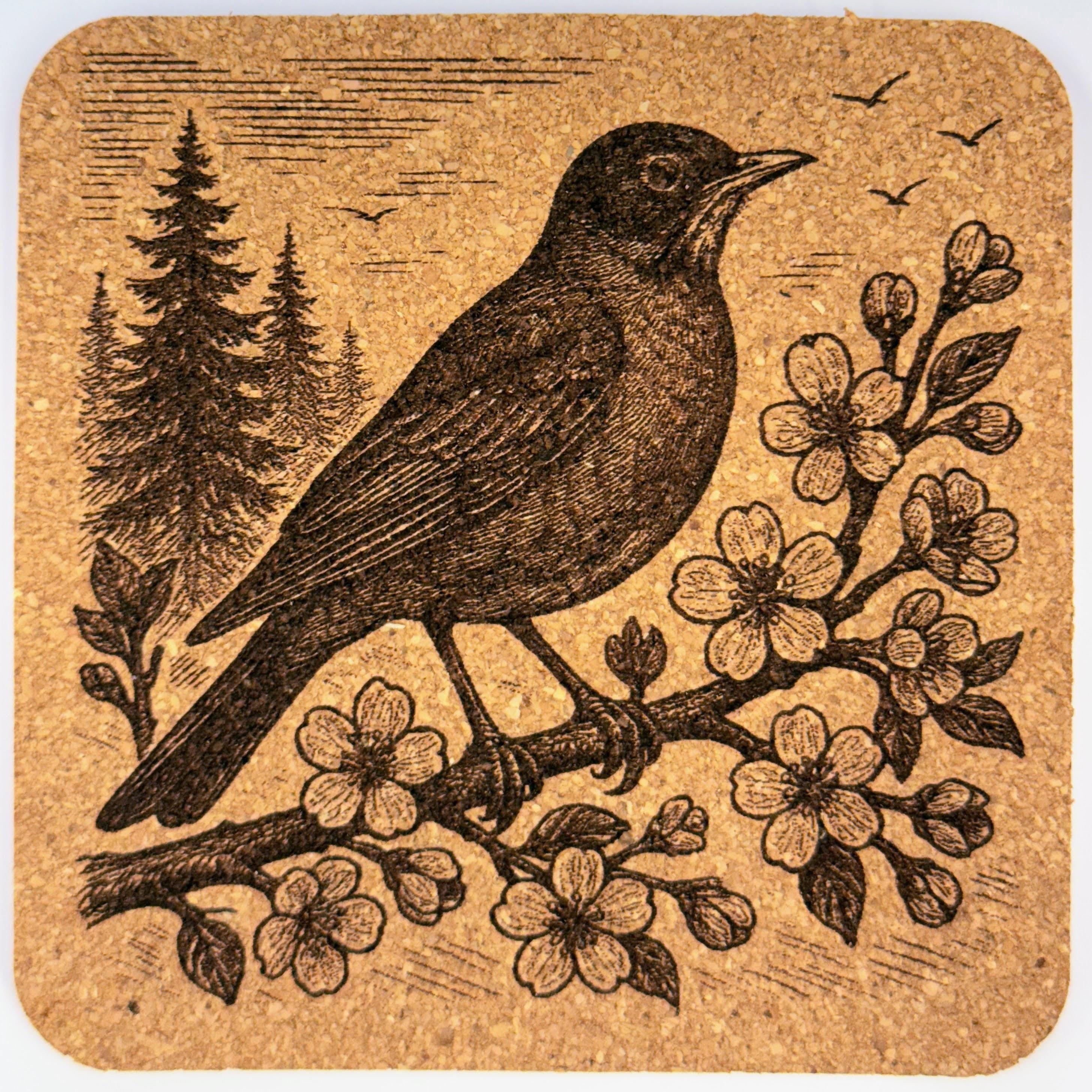 Varied Thrush on Blossoming Branch – Pacific Northwest Bird Cork Coaster