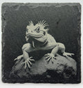 Watchful Bearded Dragon Slate Coaster – Calm Reptile Engraved Art