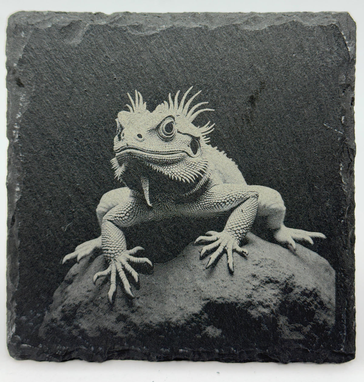 Watchful Bearded Dragon Slate Coaster – Calm Reptile Engraved Art