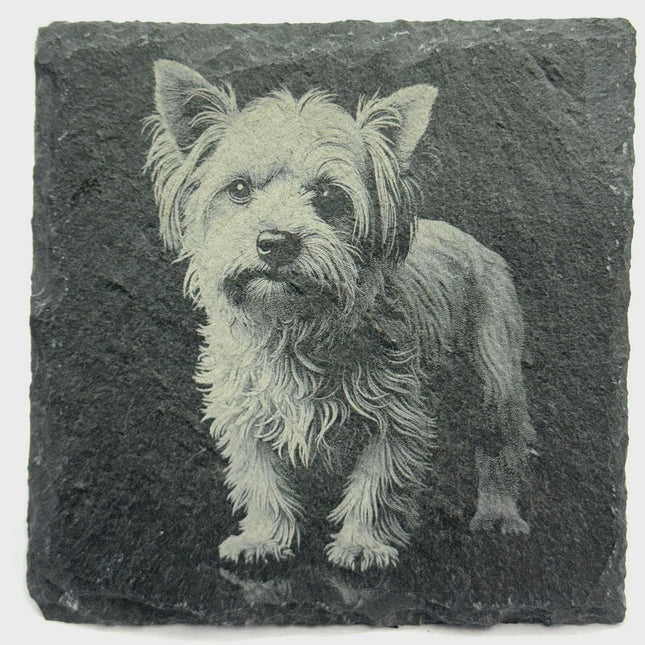Yorkie Dog Slate Coaster – Realistic Terrier Portrait