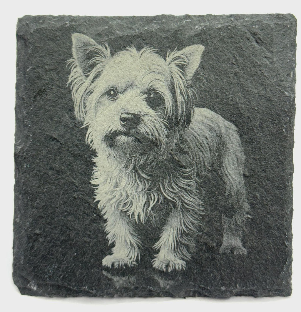 Yorkie Dog Slate Coaster – Realistic Terrier Portrait