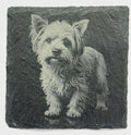 Yorkie Dog Slate Coaster – Realistic Terrier Portrait