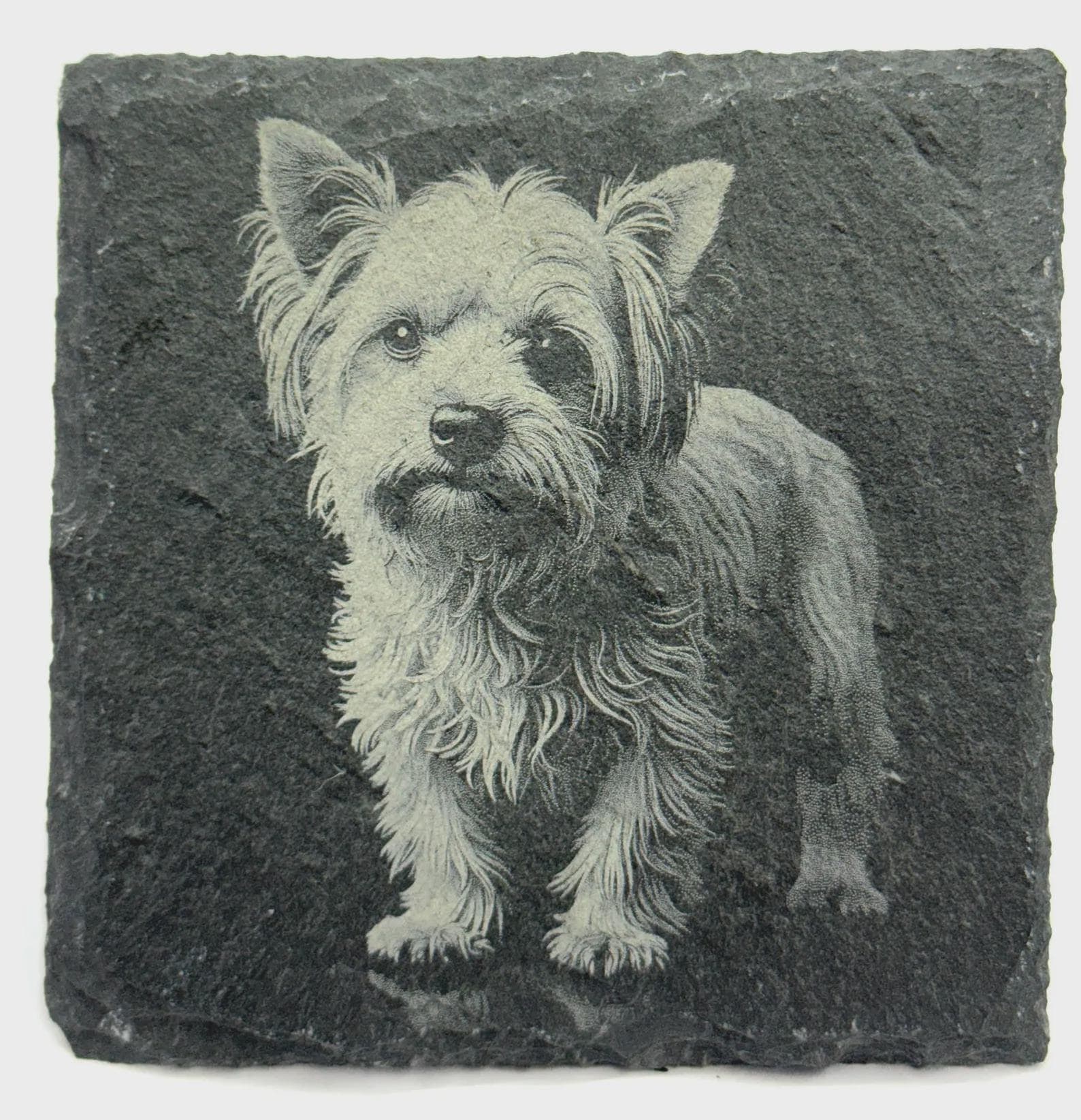 Yorkie Dog Slate Coaster – Realistic Terrier Portrait