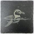 Graceful Little Penguin Gliding Through Water – Engraved Slate Coaster