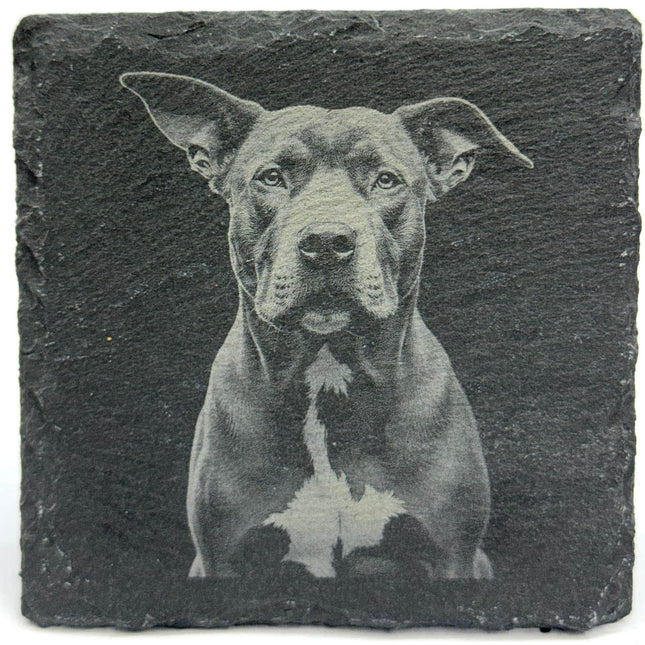 Pit Bull Slate Coaster – Engraved Dog Portrait