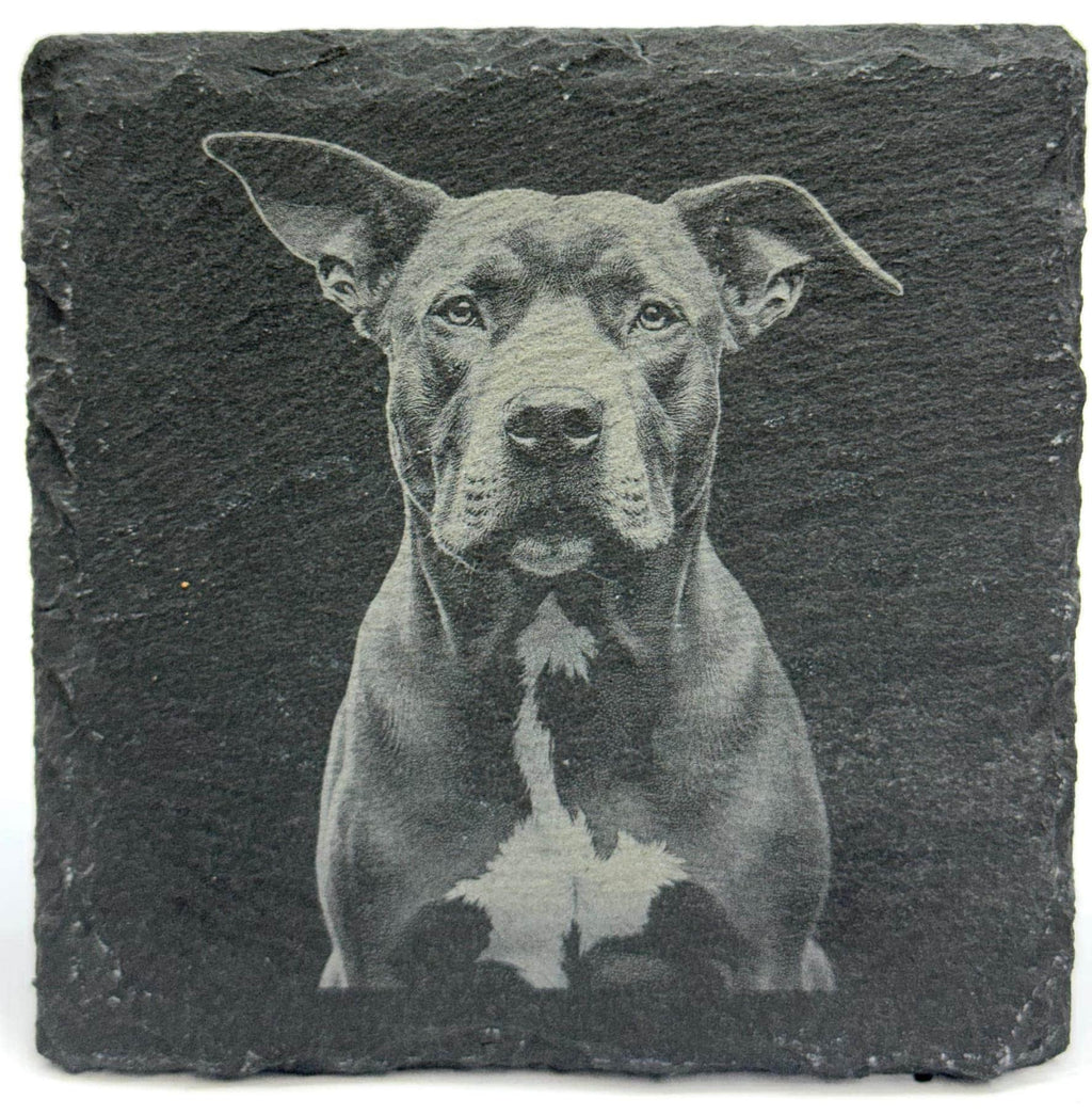 Pit Bull Slate Coaster – Engraved Dog Portrait