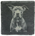 Pit Bull Slate Coaster – Engraved Dog Portrait