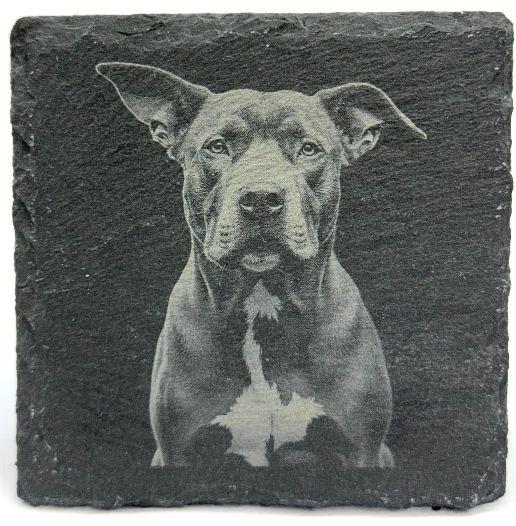 Pit Bull Slate Coaster – Engraved Dog Portrait