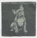 English Bulldog Slate Coasters – Cute Wrinkly Bulldog Faces, Funny Dog Drink Coasters