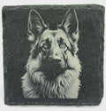German Shepherd Gaze Slate Coaster – Protective Companion Artwork