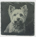 Yorkshire Terrier Gift – Laser Engraved Slate Coaster