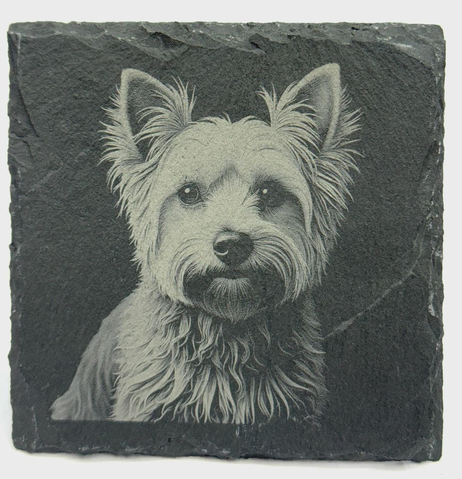 Yorkshire Terrier Gift – Laser Engraved Slate Coaster