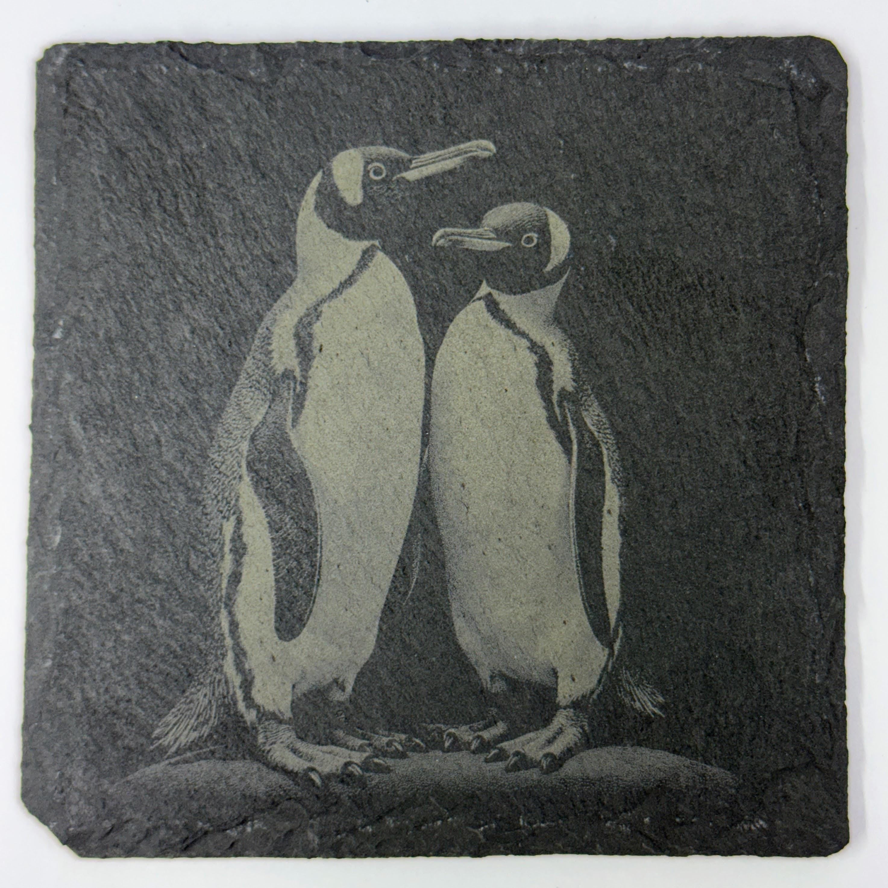 Sweet Penguin Pair Standing Together – Engraved Slate Coaster