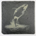 Majestic Orca Leaping from the Sea – Engraved Slate Coaster