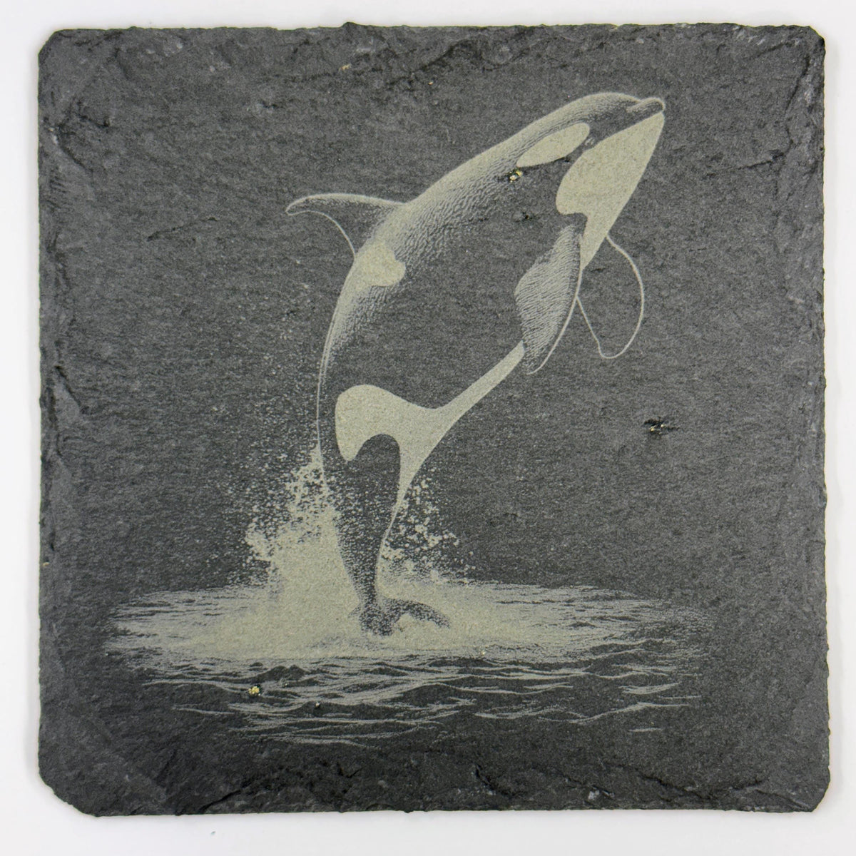 Majestic Orca Leaping from the Sea – Engraved Slate Coaster