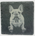Funny English Bulldog Slate Coasters – Chunky Bulldog Charm for Dog Lovers