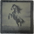 Majestic Rearing Horse – Engraved Slate Coaster
