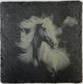 Free-Spirited Horse with Flowing Mane – Engraved Slate Coaster