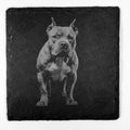 American Bulldog Dog Slate Coaster – Calm Power and Presence