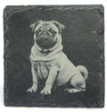 Pug Dog Slate Coaster – Realistic Pet Art in Stone