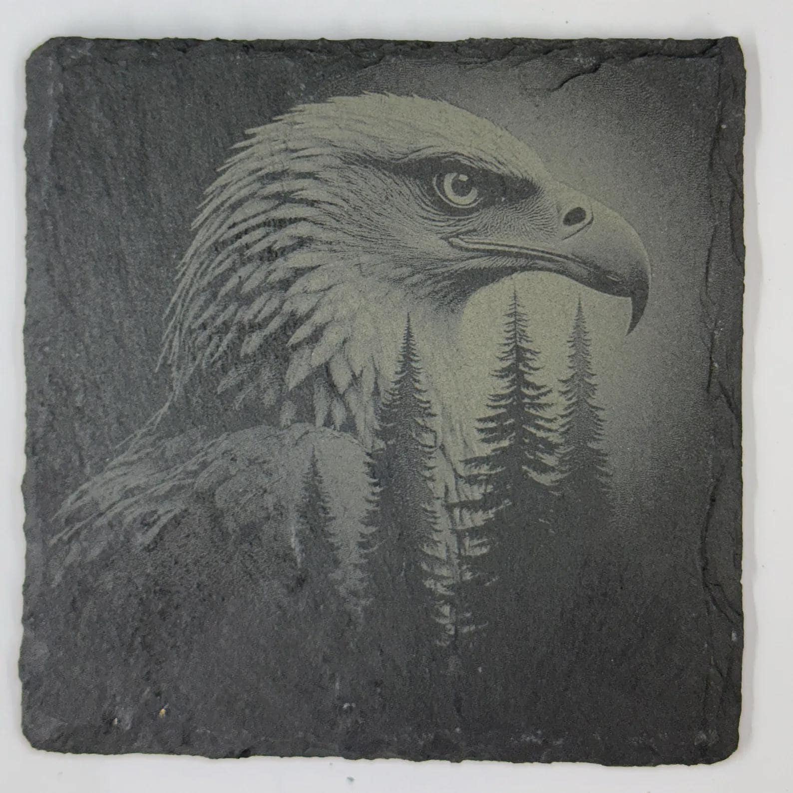Bald Eagle Forest Portrait Slate Coaster – Dramatic Wildlife Art