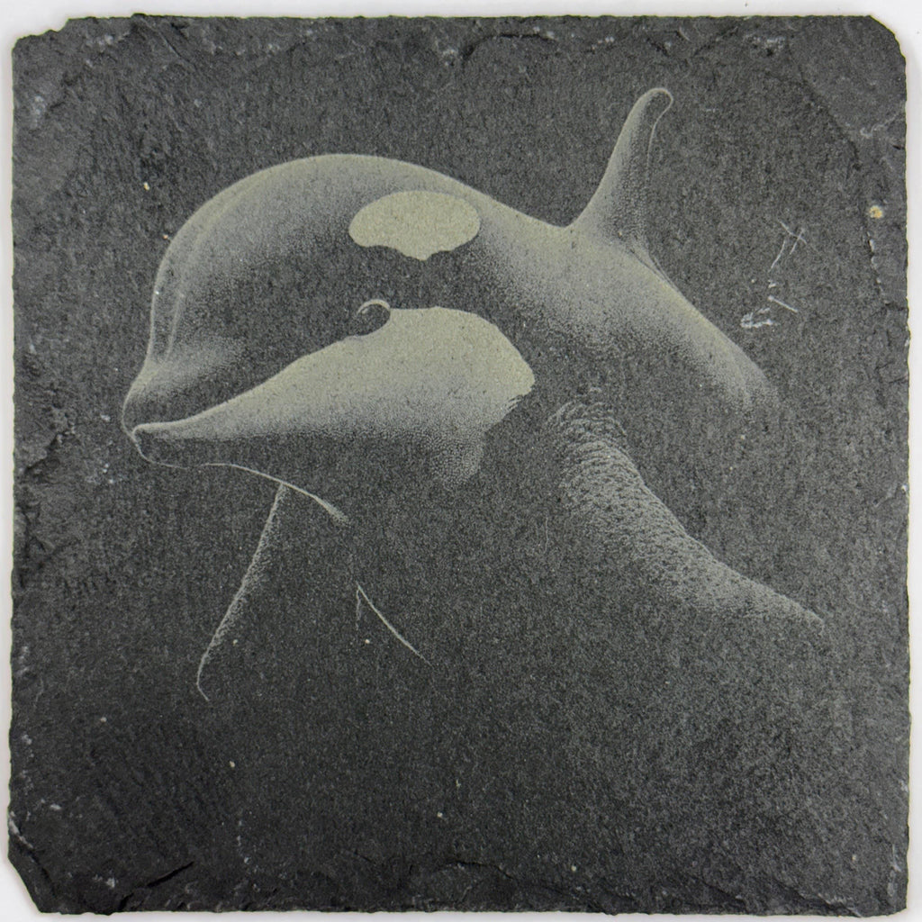 Gentle Orca Underwater Portrait – Engraved Slate Coaster