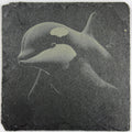Gentle Orca Underwater Portrait – Engraved Slate Coaster