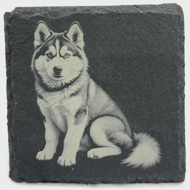 Husky Dog Slate Coaster – Detailed Northern Breed Illustration