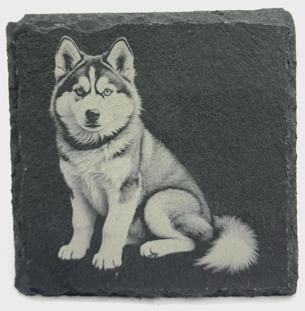 Husky Dog Slate Coaster – Detailed Northern Breed Illustration