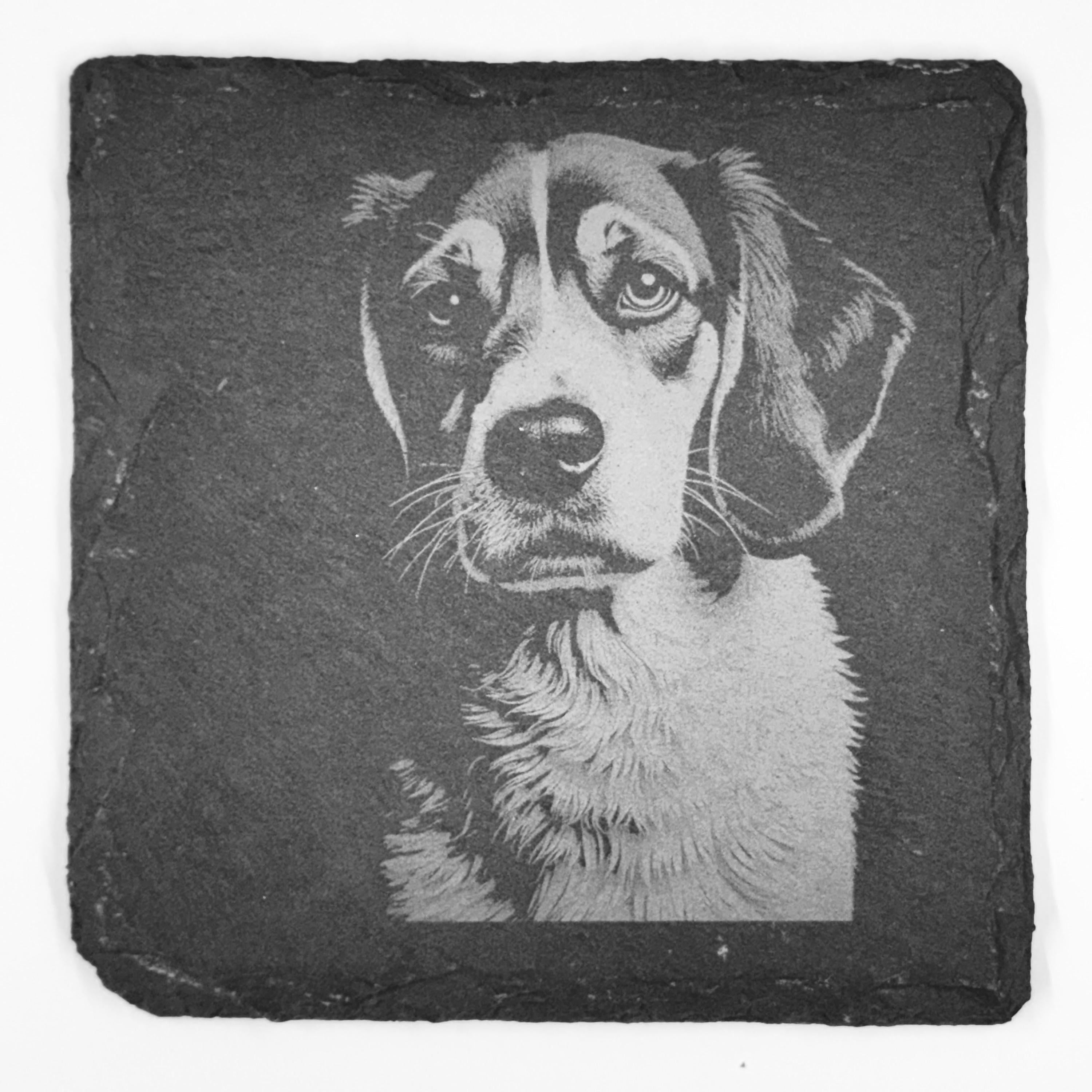 Classic Beagle Slate Coaster – Gentle Face with Warm Personality