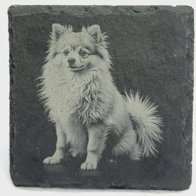 Pom Dog Portrait Coaster – Natural Slate Stone