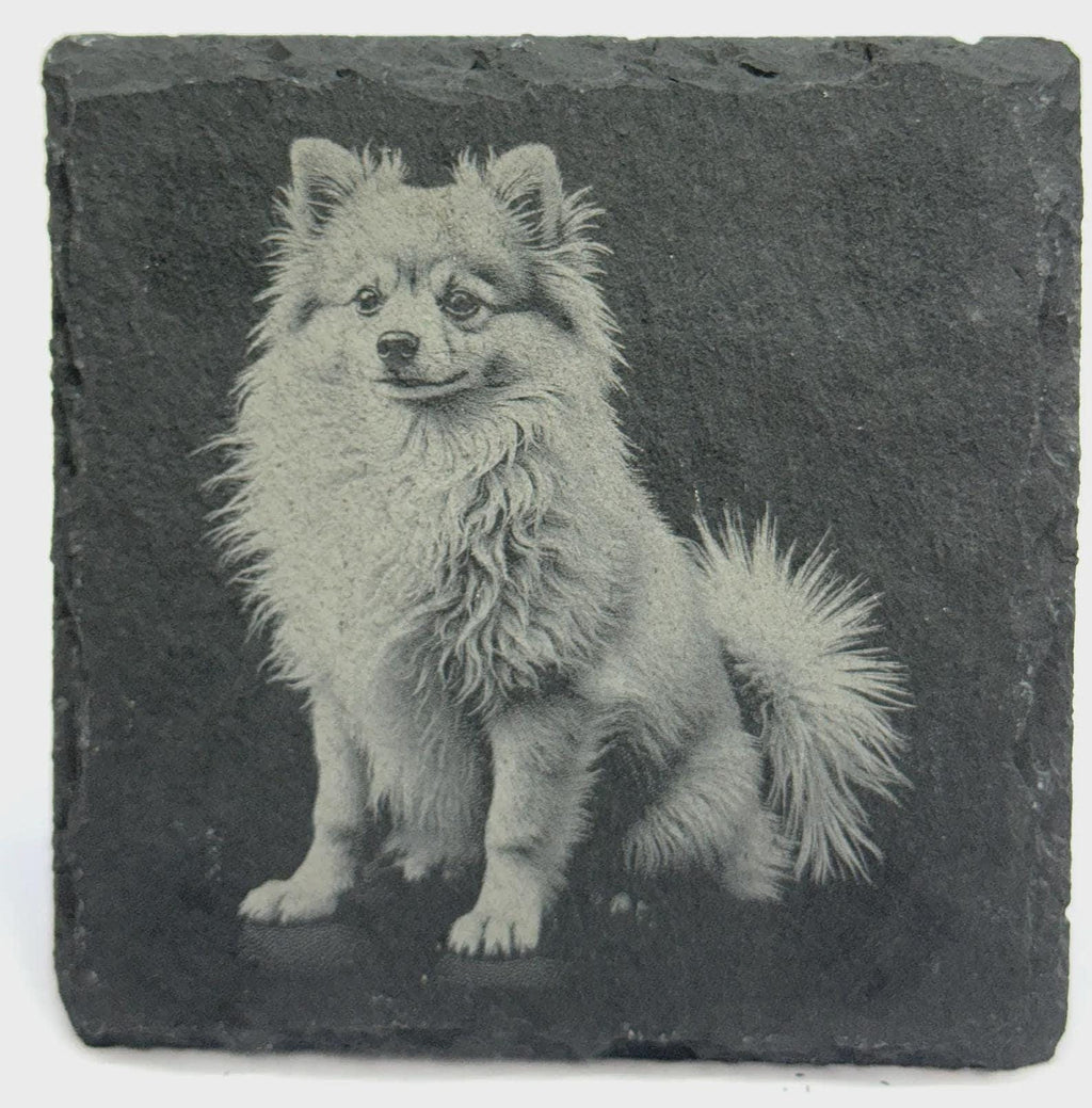 Pom Dog Portrait Coaster – Natural Slate Stone