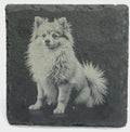 Pom Dog Portrait Coaster – Natural Slate Stone