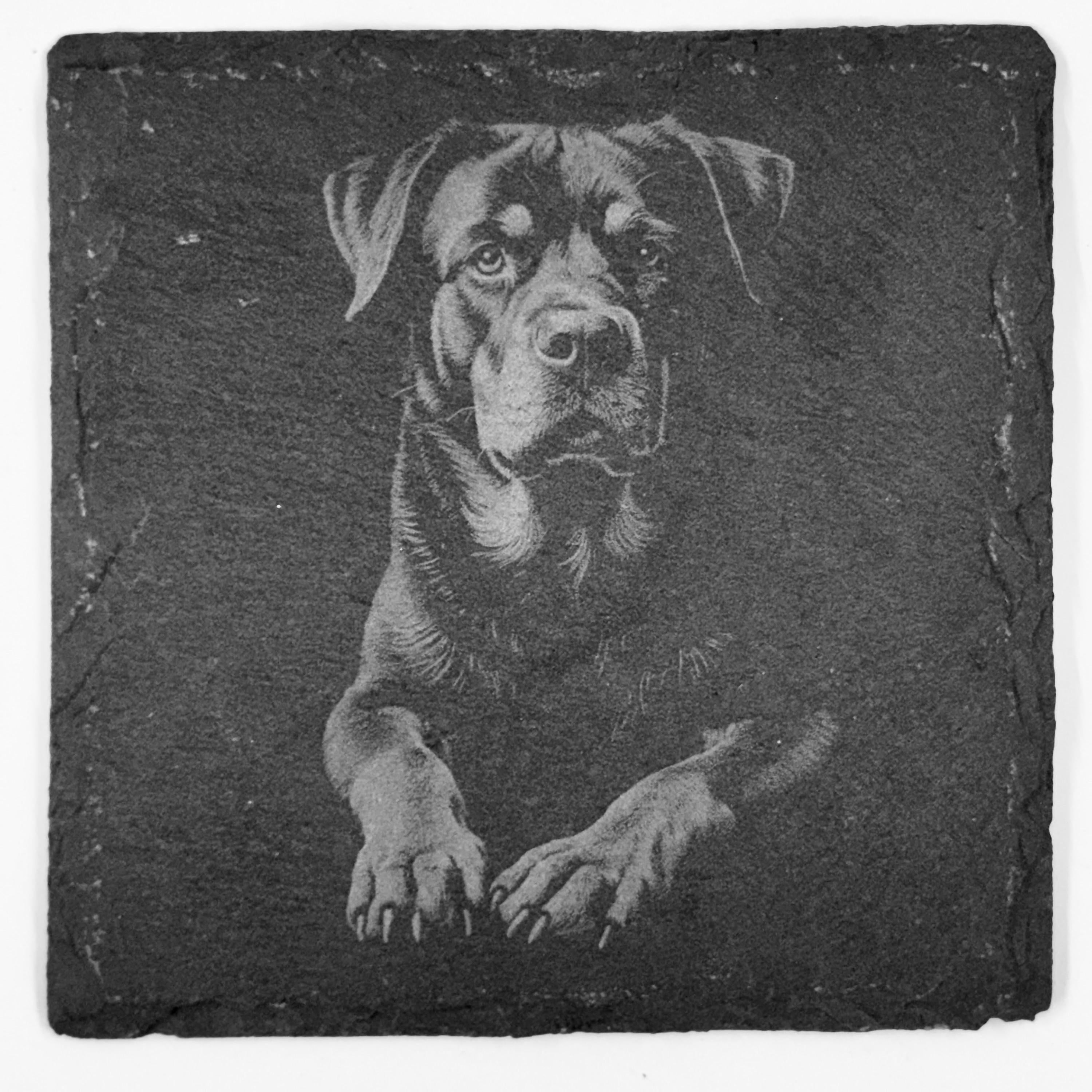 Rottweiler Dog Portrait Slate Coaster – Calm Strength Artwork