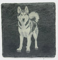 Siberian Husky Moon Howl Slate Coaster – Wolf Spirit Style Art