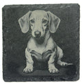 Dachshund Lover Gift – Laser Engraved Slate Coaster